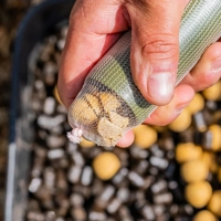 OMC Fade Chopstix PVA Mesh System